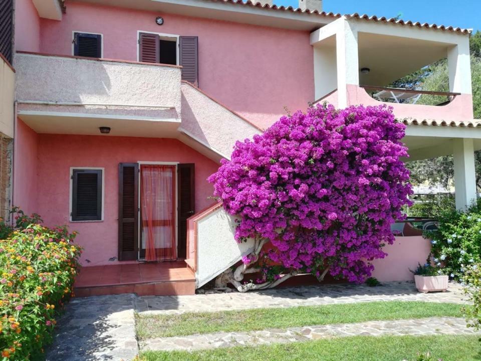 Casa Smeralda Cannigione Dış mekan fotoğraf